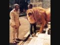 bob marley - lion of judah live