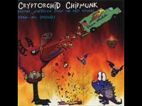 Cryptorchid Chipmunk - Sunday Monday Tuesday Wensday Thursday Friday Saturday Sunday