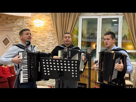 Daniel Vid si grupul -Nu știu cât mai am harul