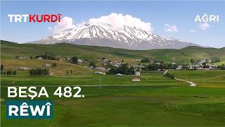 Rêwî - Beşa 482. (Ağrı)