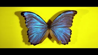 U2 - Even Better Than The Real Thing - 360 Mix Official Music Video