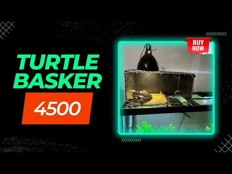 Turtle Basker 4500 - Available Now! - Basking Dock for Large Turtles