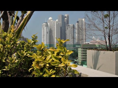 Отель The Ivory Villa