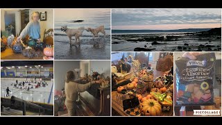 Beach Walk, Papa Time/Haul, Halloween...Alittle This & That
