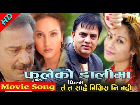 Fulaiko Dalima | Ta Ta Sarai Bigris Ni Badri Movie Song | AB Pictures Farm | B.G Dali