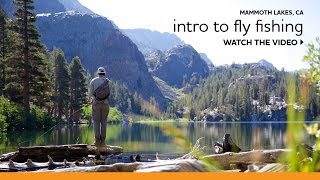 Beginner’s Guide to Fly Fishing in the Eastern Sierra