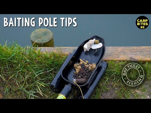 Baiting Pole Tips - Winter Day Carp Fishing Session