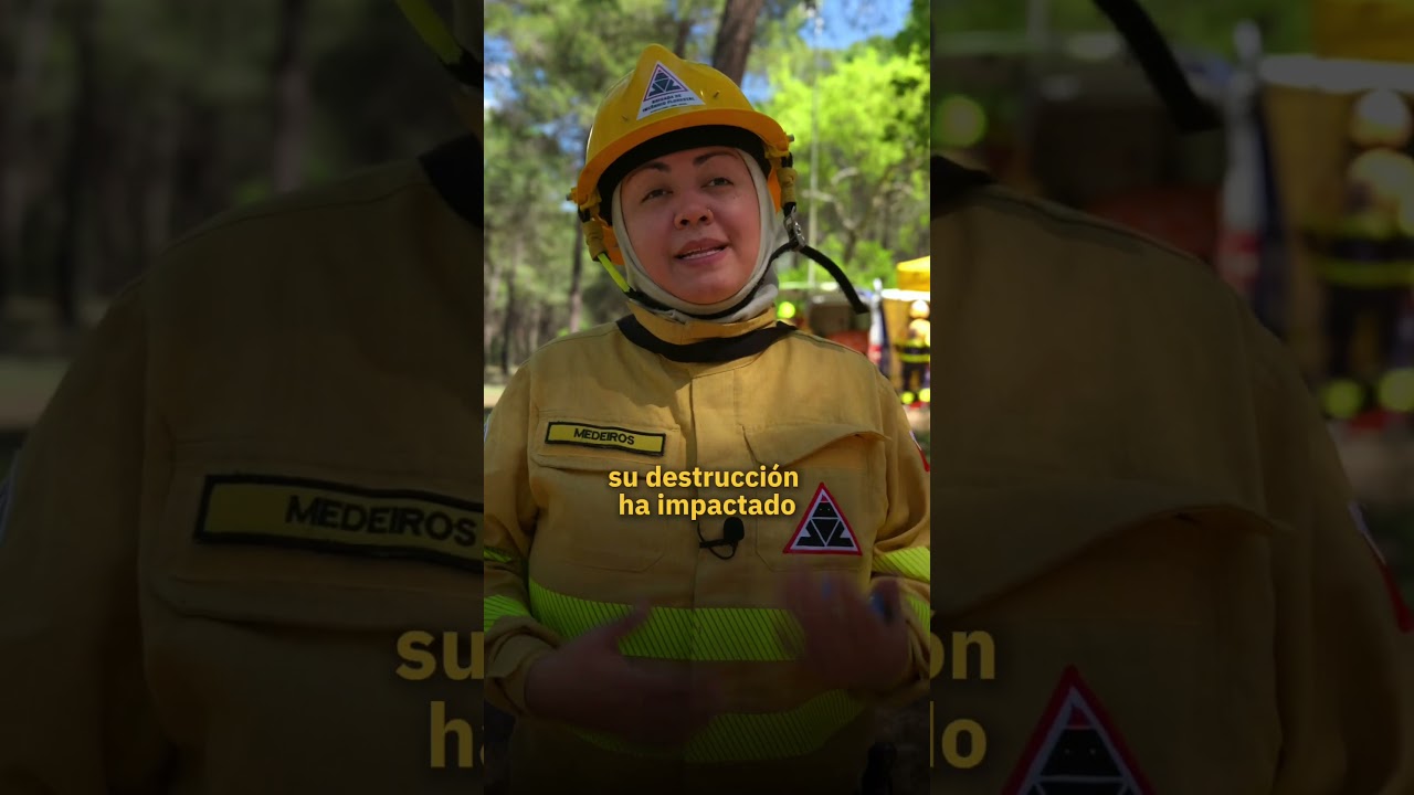 ¿Qué extinguirías además de los incendios forestales? | FIAP