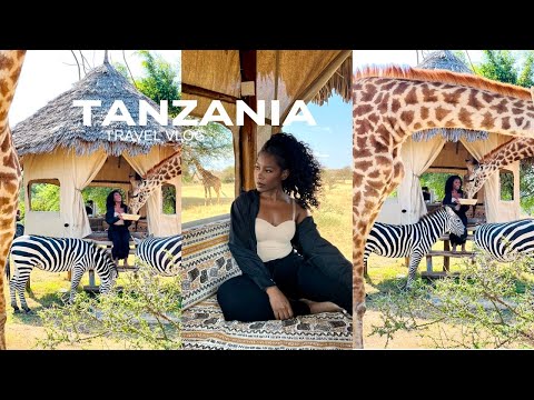 Tanzania Travel Vlog Part 1 | Serval Wildlife, Arusha Walking Tour, 14 DAY Itinerary + MORE
