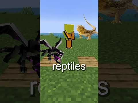 The Secret Behind The Dragon Egg In Minecraft