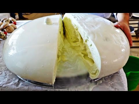 COMO se HACE el QUESO MOZZARELLA industrial🧀| ASÍ se HACE el QUESO MOZZARELLA de BÚFALA