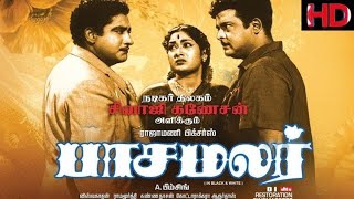 Pasamalar HD Tamil Full Movie  Sivaji Ganesan  Sav