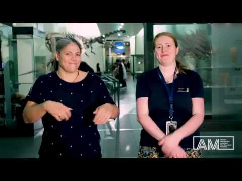 How to Sign Auckland in NZSL