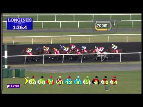 09.03.2013 Meydan (Dubai-UAE) 1.Race Al Maktoum Challenge 2013 - (Pure Arabians) Group I  2.000 m