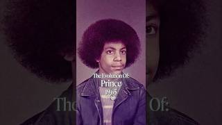 The Life of Prince 💜