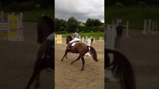 Carrick diamond dancer