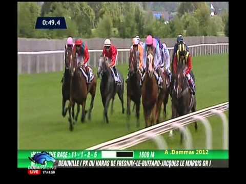 Excelebration   Prix du Haras de Fresnay le Buffard   Jacques le Marois 2012 G1