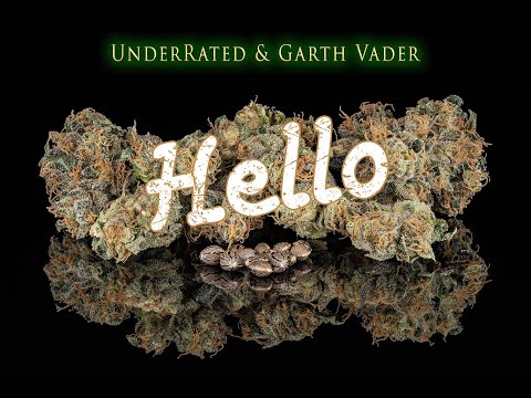 UnderRated & Garth Vader - Hello (Official Music Video)