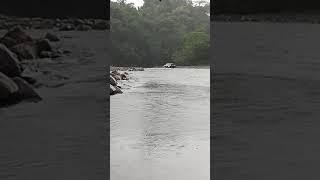 preview picture of video 'Cruzando el Río Calovéborita'
