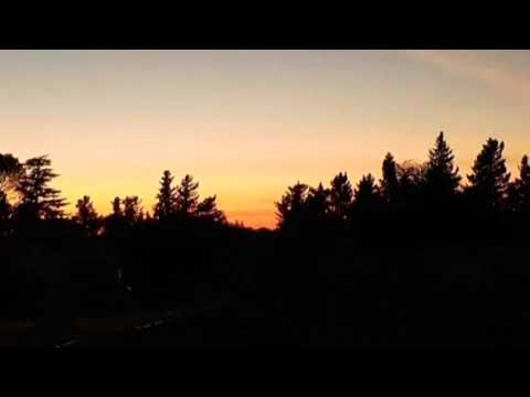 Morir De Amor - Los Nocheros