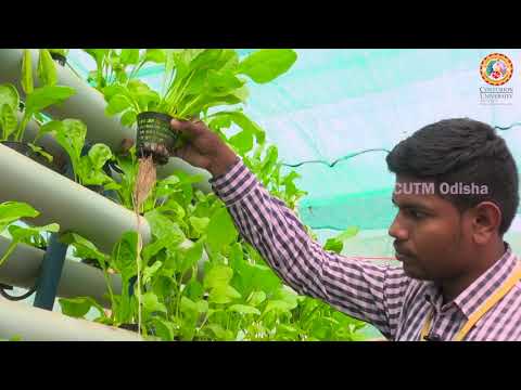 Smart Agriculture Video 3