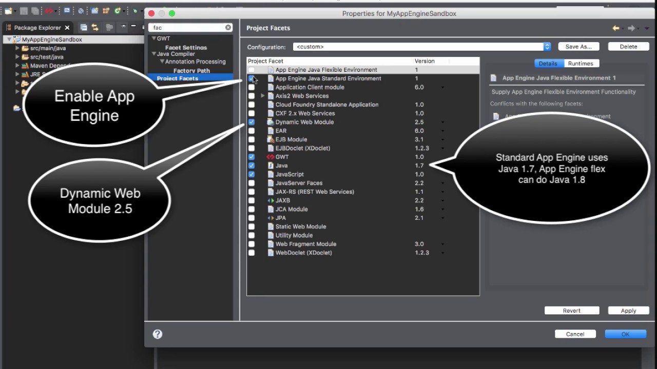 GWT Eclipse Plugin V3 - App Engine Server Runtime Preview