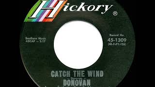 1965 HITS ARCHIVE: Catch The Wind - Donovan (U.S. hit 45 single version)
