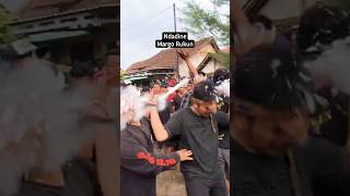 Download lagu barongan bolone setan #barongan #storywa #shortsviral #viralshorts #atraksi #atraksibarongan mp3