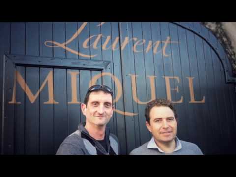 Beautiful Day in Languedoc... at Laurent Miquel