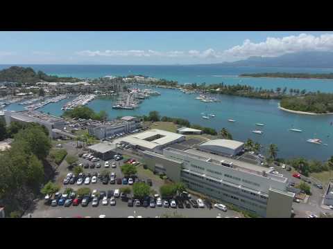 Université des Antilles