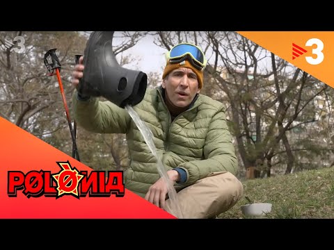 Temps de neu - Polònia