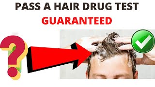How To Pass A Hair Follicle Drug Test GUARANTEED With DETOX SHAMPOO