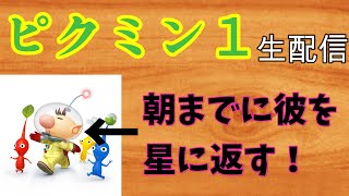 【ピクミン１】もうすぐニートが終わるので、オリマー助けることにした