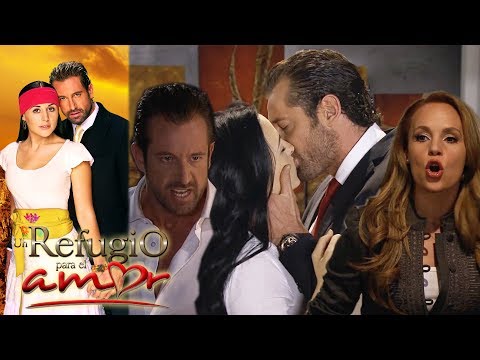 A Haven for Love - Chapter 121: Rodrigo Asks Gala for a Divorce! - tlnovelas