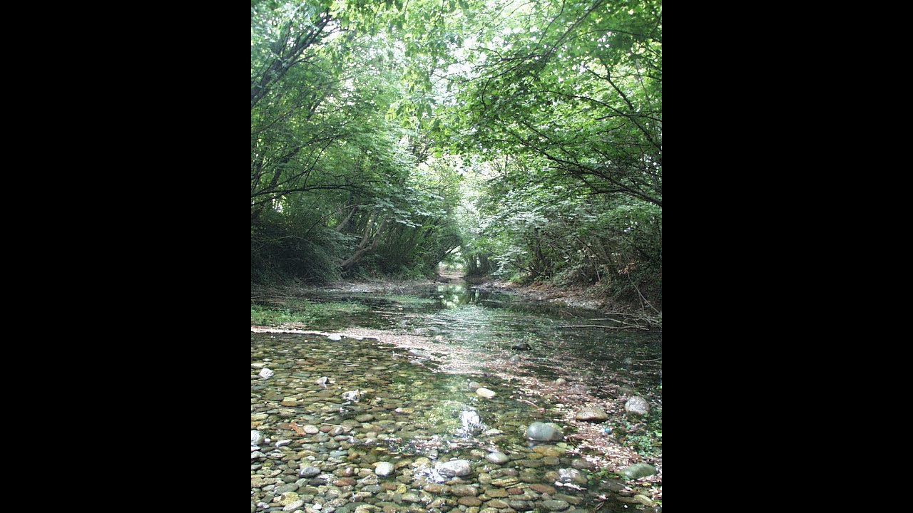 Gli ambienti umidi del Parco Regionale del Serio