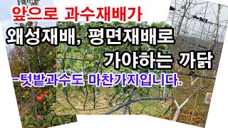 앞으로 과수 재배가 왜성재배, 평면재배로 가야 하는 이유.-텃밭과수도 마찬가지입니다.(과일나무 심기, 과일나…