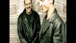 Atmosphere Cats Van Bags extended