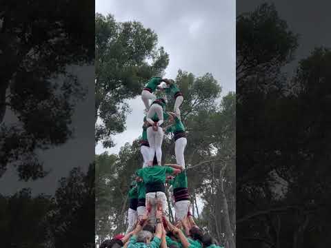 video-cover