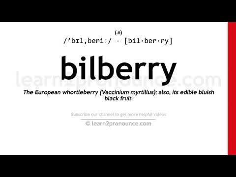 Pronunciation of Bilberry | Definition of Bilberry