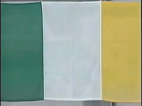 World Cup 2002 Ireland Anthem Vs Cameroon