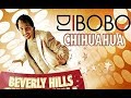 DJ BoBo - CHIHUAHUA ( Beverly Hills Chihuahua Version )