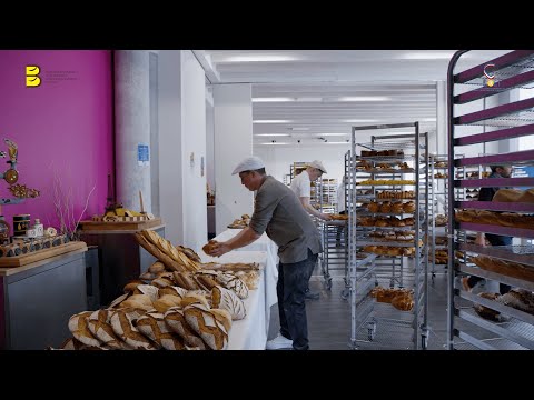 Reportage - Un des Meilleurs Ouvriers de France - Boulangerie 2023