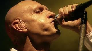MIDNIGHT OIL - READ ABOUT IT