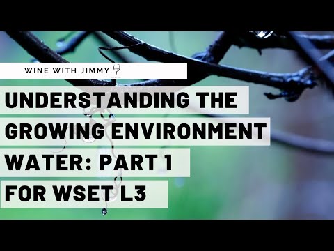 WSET Level 3 Wines - Understanding the Growing Environment Water: Part 1