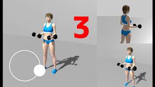 Dumbbell bicep curl, App for Muscle Training