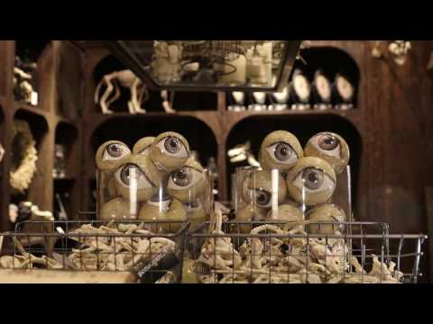 Pop-up Shop Part 2: Spooky Apothecary Halloween‬‬ | Grandin Road