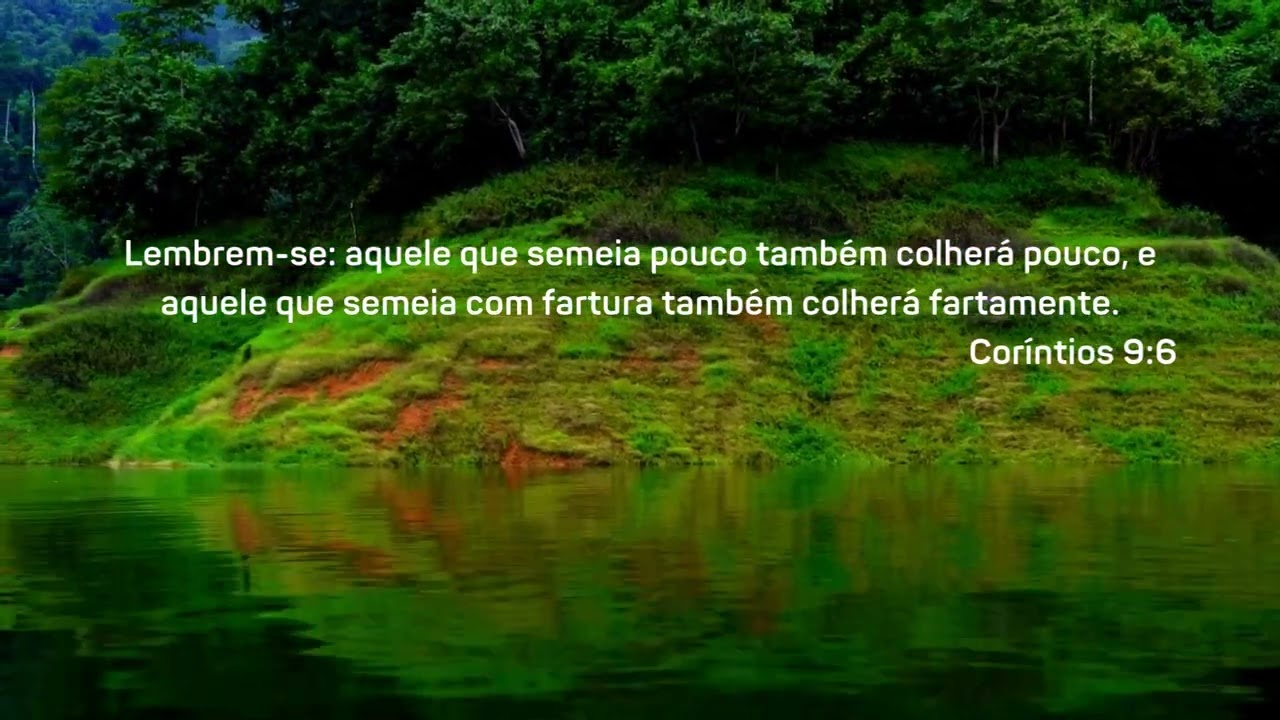 PALAVRAS QUE EDIFICAM: Versiculo do dia | Bom dia! #reflexão | Coríntios 9:6