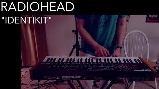 Radiohead - Identikit (Cover by Joe Edelmann)