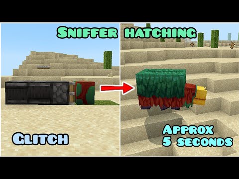 Sniffer quickly hatching glitch #minecraft