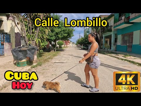 Esto es lo que ves cuando caminas del Cerro hacia Plaza | CUBA HOY en 4K UHD